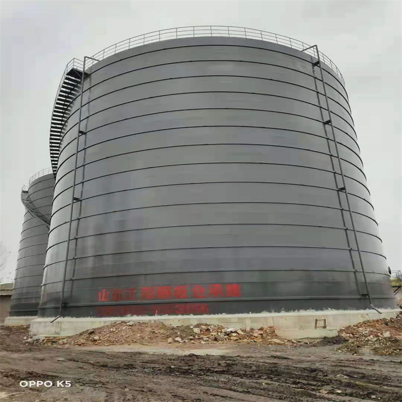 青州3万吨大型钢板库