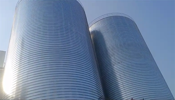 青州2座混凝土高架卷板仓